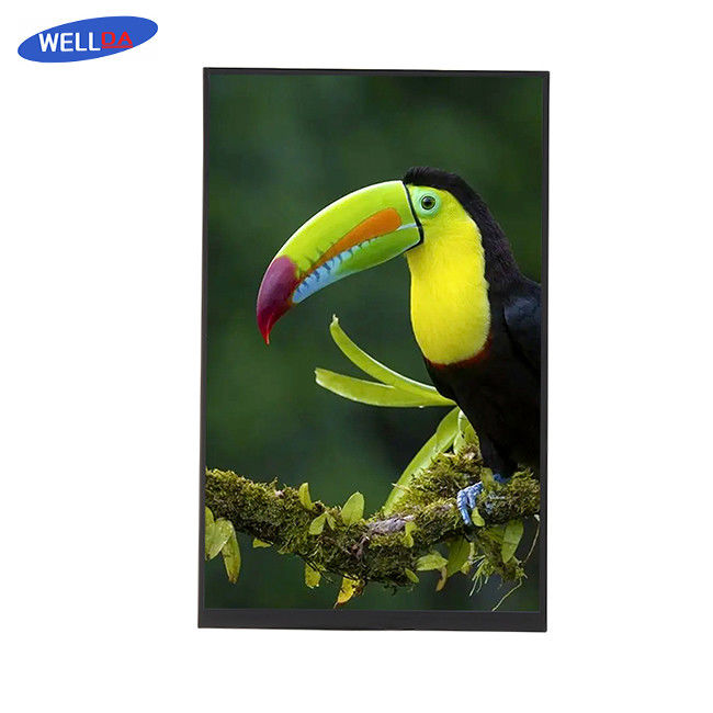 Vibrant Visuals LCD Display Module 16.7M 10.1 TFT LCD Monitor